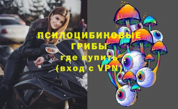 mdpv Инсар